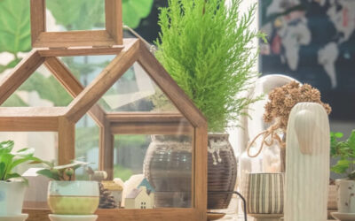 Feng shui: 5 dicas para começar o ano com boas energias